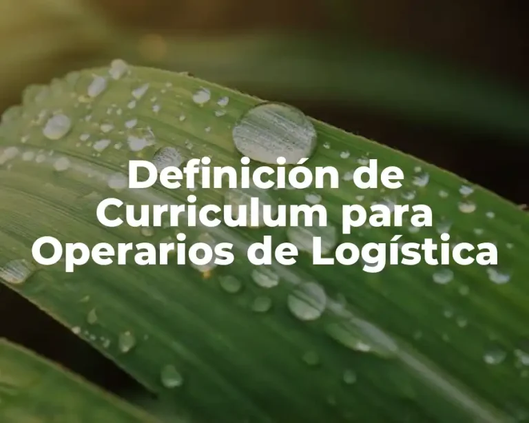 Definición de Curriculum para Operarios de Logística