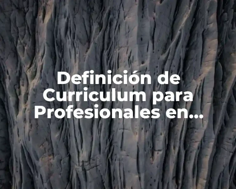 Definición de Curriculum para Profesionales en México
