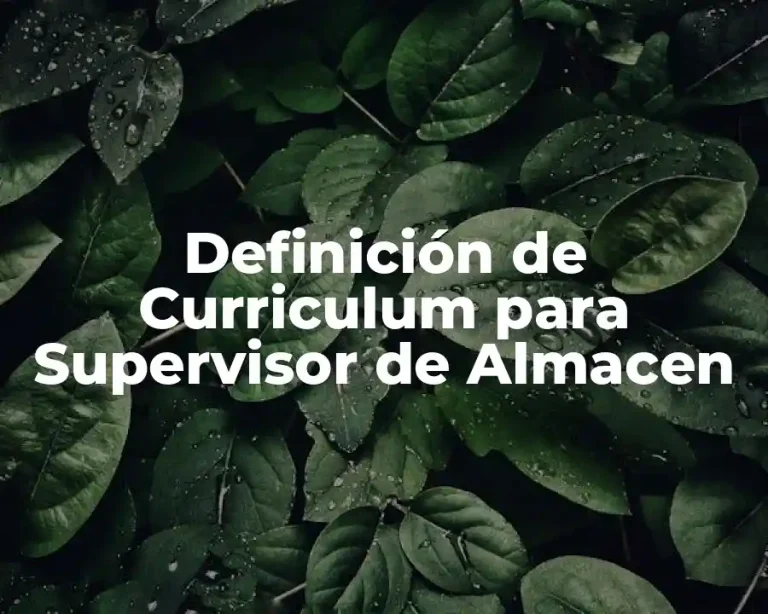 Definición de Curriculum para Supervisor de Almacen