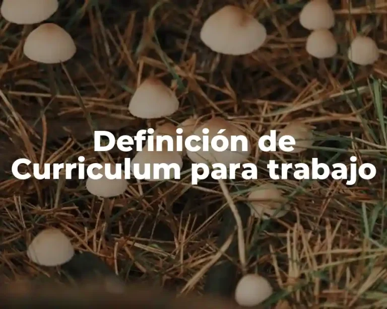 Definición de Curriculum para trabajo