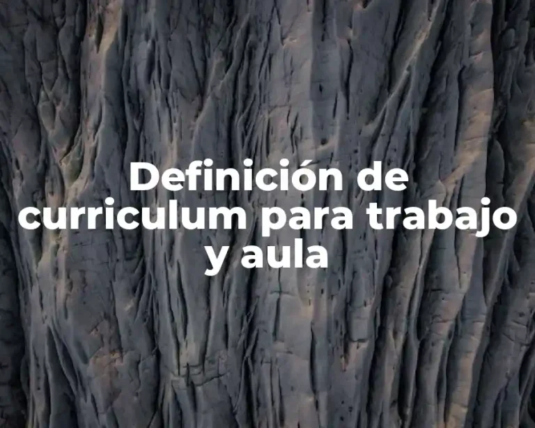 Definición de curriculum para trabajo y aula