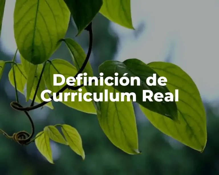 Definición de Curriculum Real