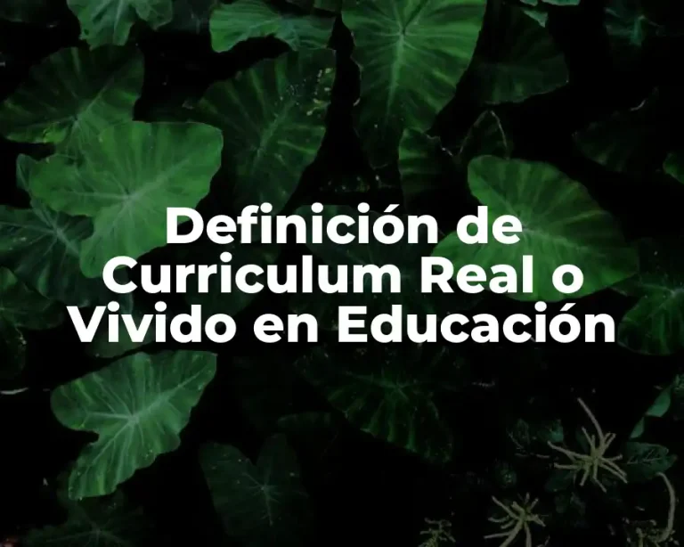 Definición de Curriculum Real o Vivido en Educación