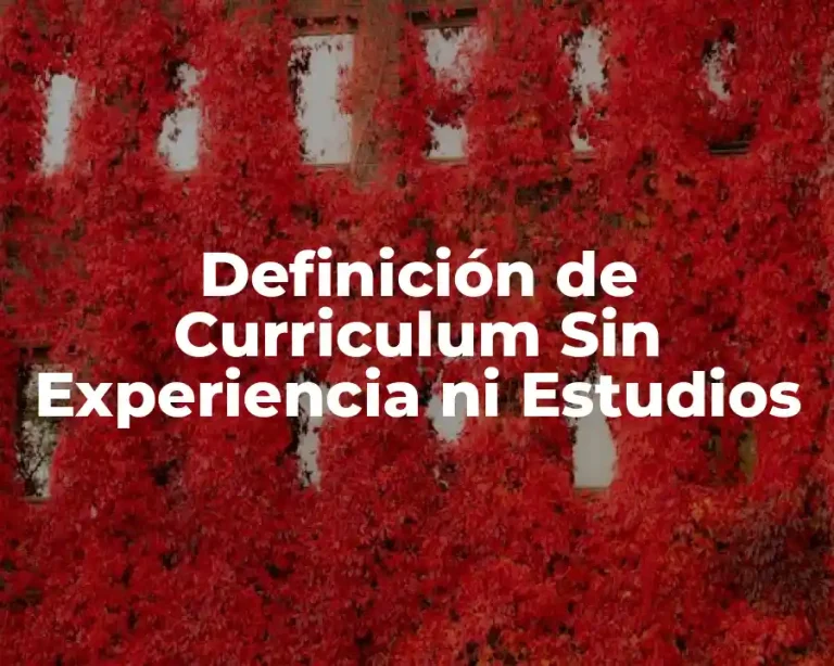 Definición de Curriculum Sin Experiencia ni Estudios