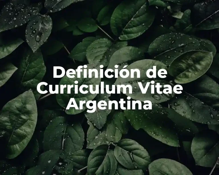 Definición de Curriculum Vitae Argentina