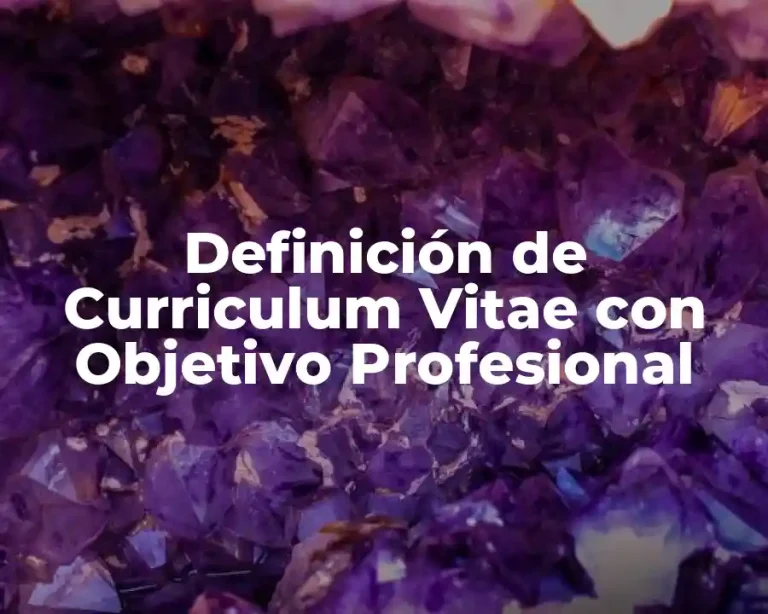 Definición de Curriculum Vitae con Objetivo Profesional