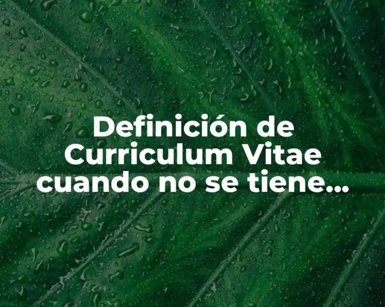 Definición de Curriculum Vitae cuando no se tiene experiencia