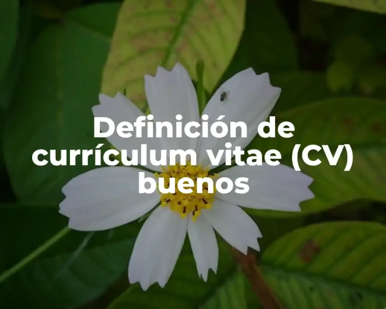 Definición de currículum vitae (CV) buenos