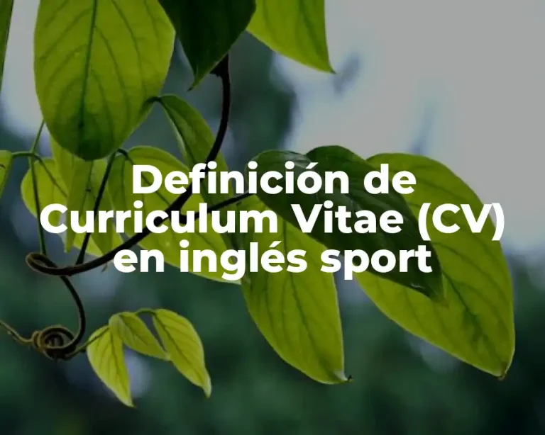 Definición de Curriculum Vitae (CV) en inglés sport