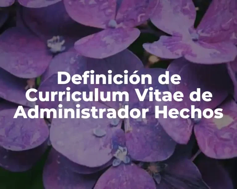 Definición de Curriculum Vitae de Administrador Hechos