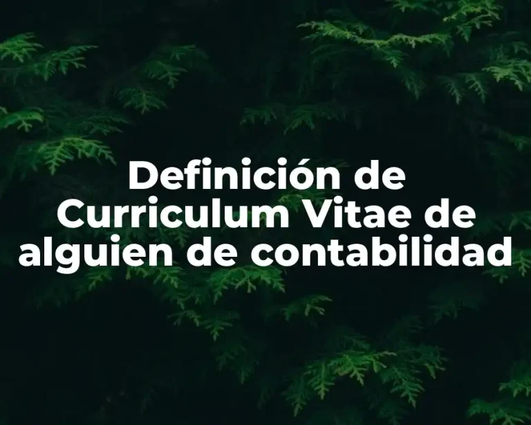 Definición de Curriculum Vitae de alguien de contabilidad