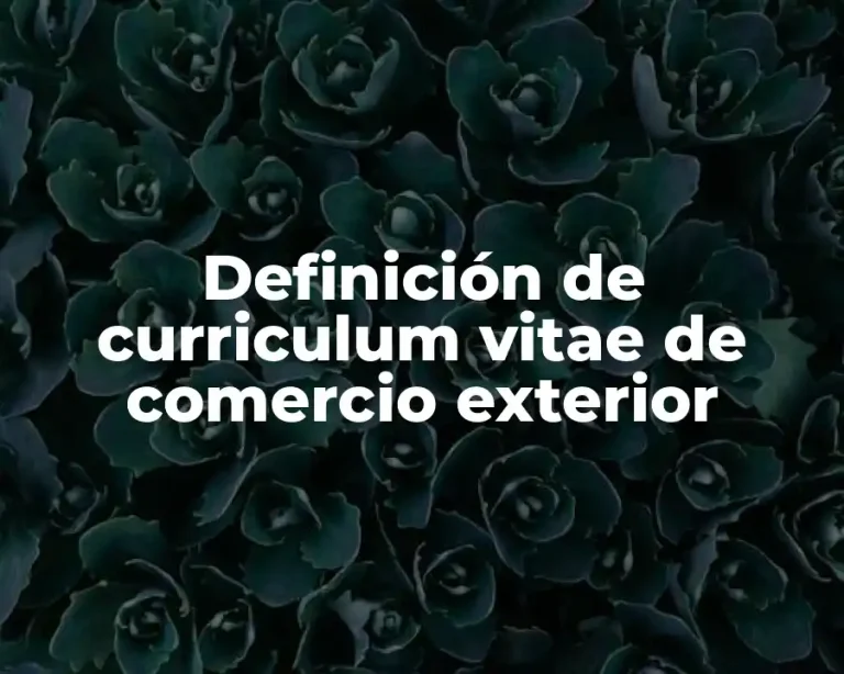Definición de curriculum vitae de comercio exterior