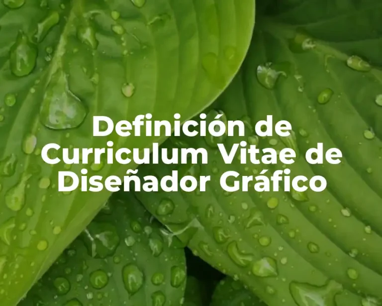 Definición de Curriculum Vitae de Diseñador Gráfico