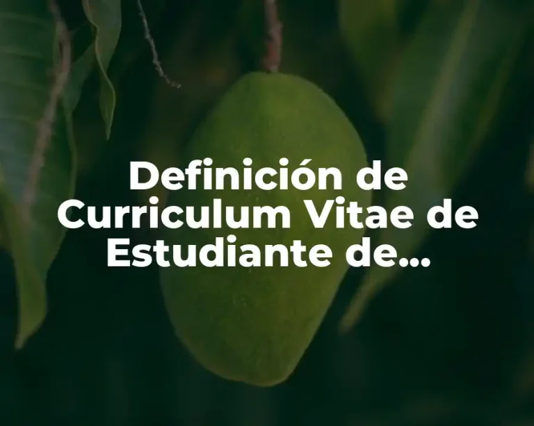 Definición de Curriculum Vitae de Estudiante de Enfermería