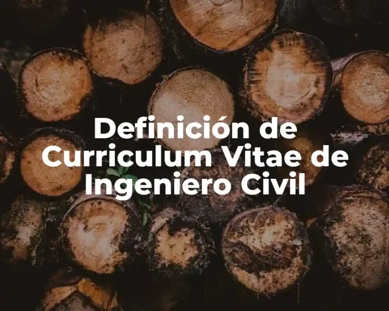 Definición de Curriculum Vitae de Ingeniero Civil