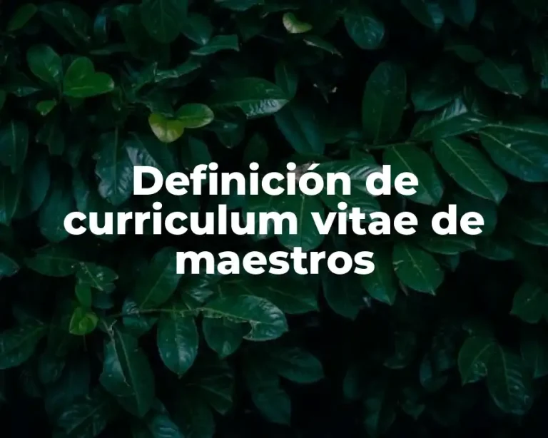 Definición de curriculum vitae de maestros
