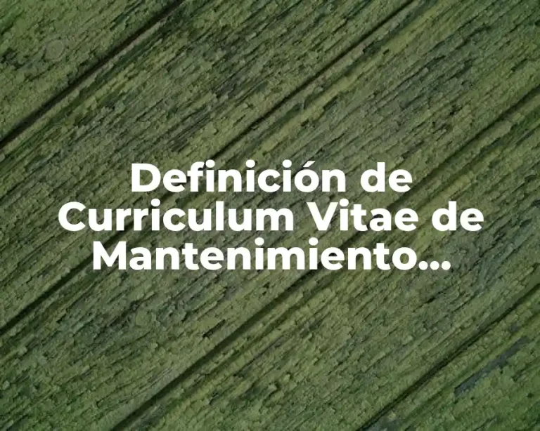 Definición de Curriculum Vitae de Mantenimiento Industrial