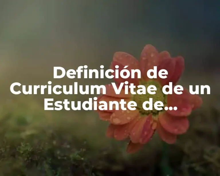 Definición de Curriculum Vitae de un Estudiante de Contabilidad