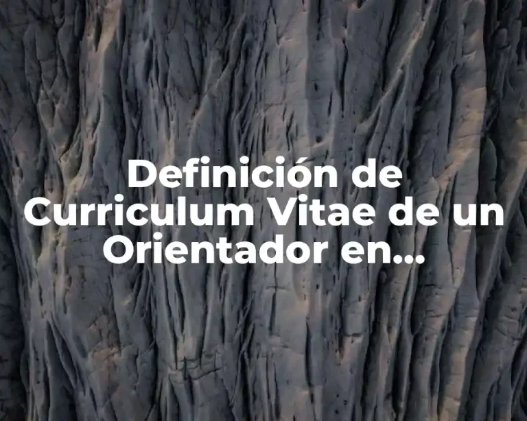 Definición de Curriculum Vitae de un Orientador en Preparatoria