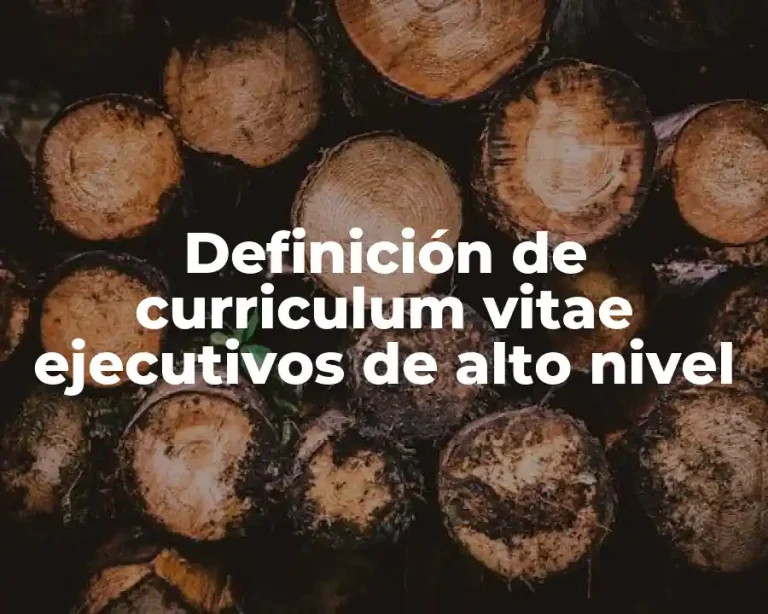 Definición de curriculum vitae ejecutivos de alto nivel