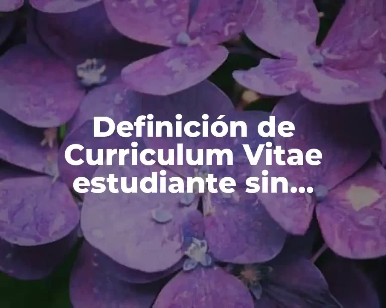 Definición de Curriculum Vitae estudiante sin experiencia Scribd