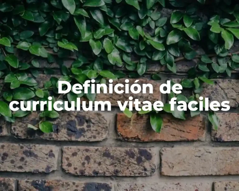 Definición de curriculum vitae faciles