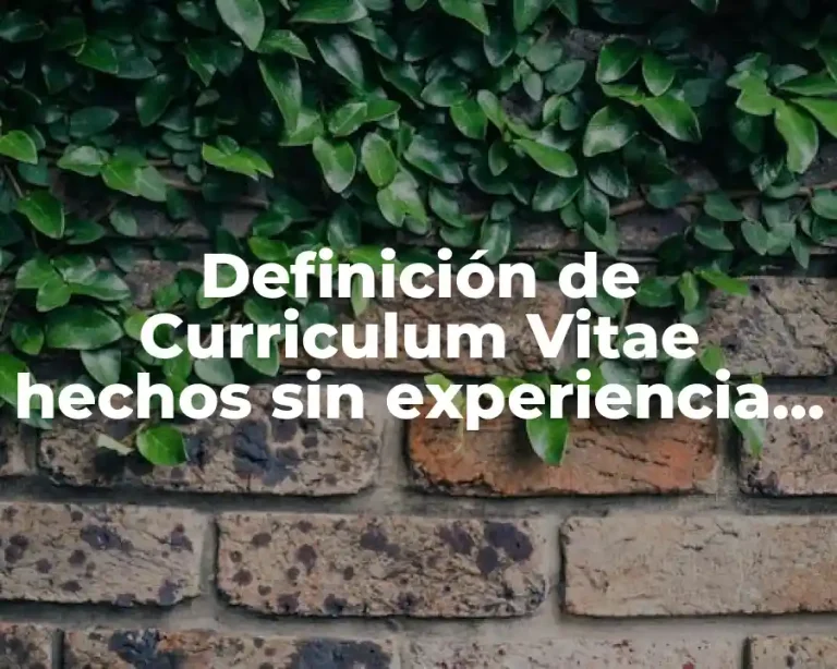 Definición de Curriculum Vitae hechos sin experiencia laboral