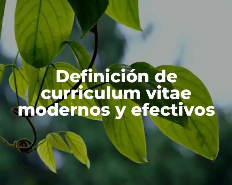 Definición de curriculum vitae modernos y efectivos