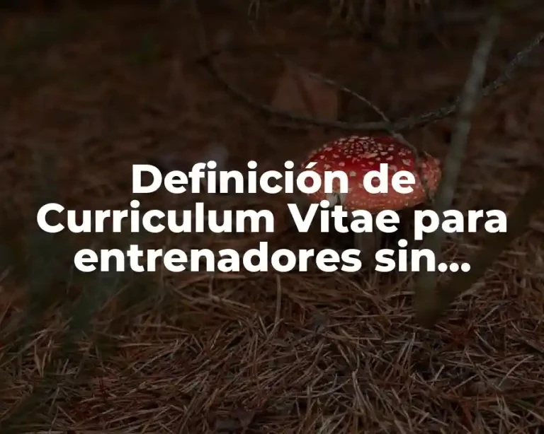 Definición de Curriculum Vitae para entrenadores sin experiencia