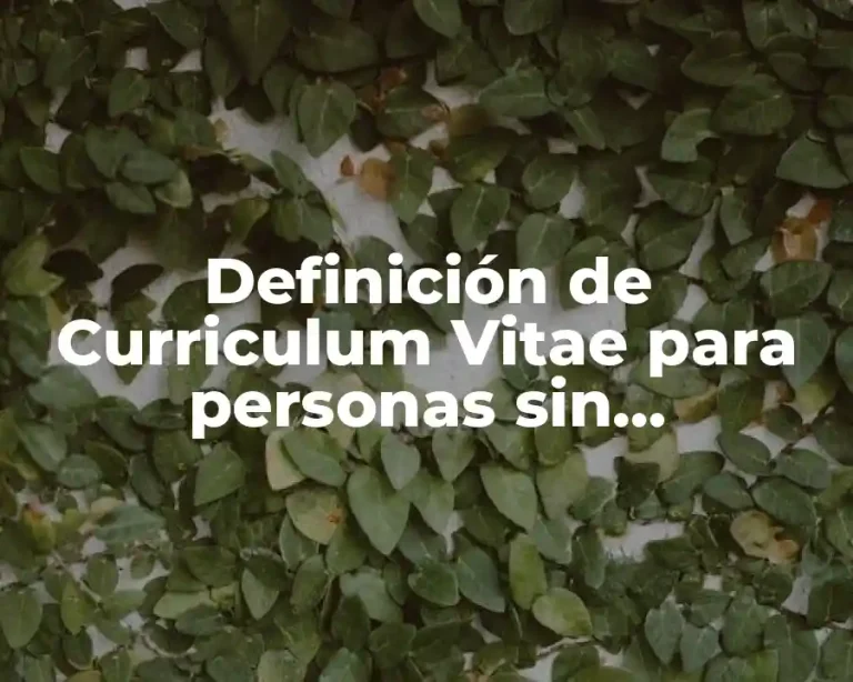Definición de Curriculum Vitae para personas sin experiencia laboral