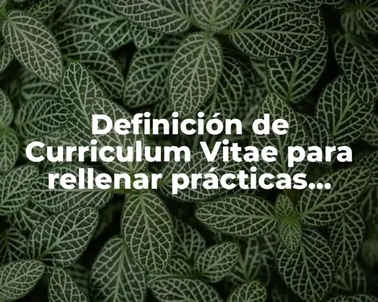 Definición de Curriculum Vitae para rellenar prácticas profesionales