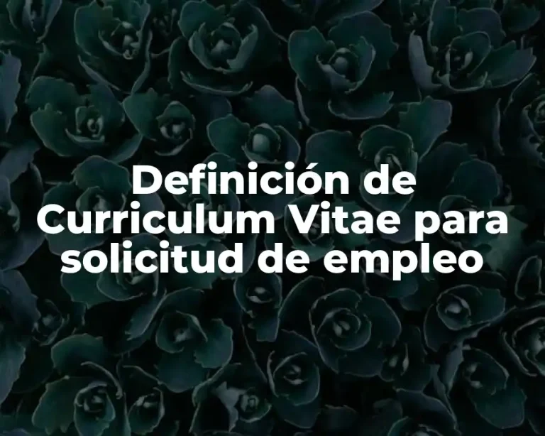 Definición de Curriculum Vitae para solicitud de empleo