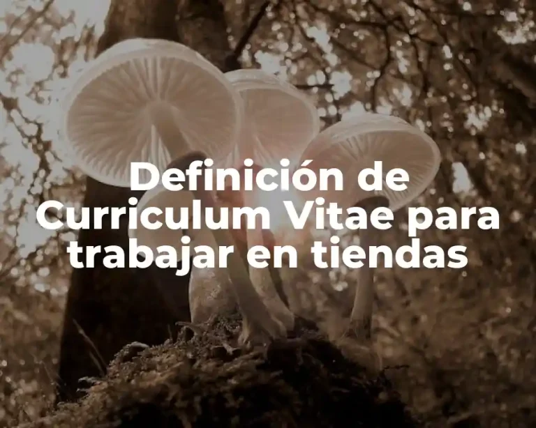 Definición de Curriculum Vitae para trabajar en tiendas