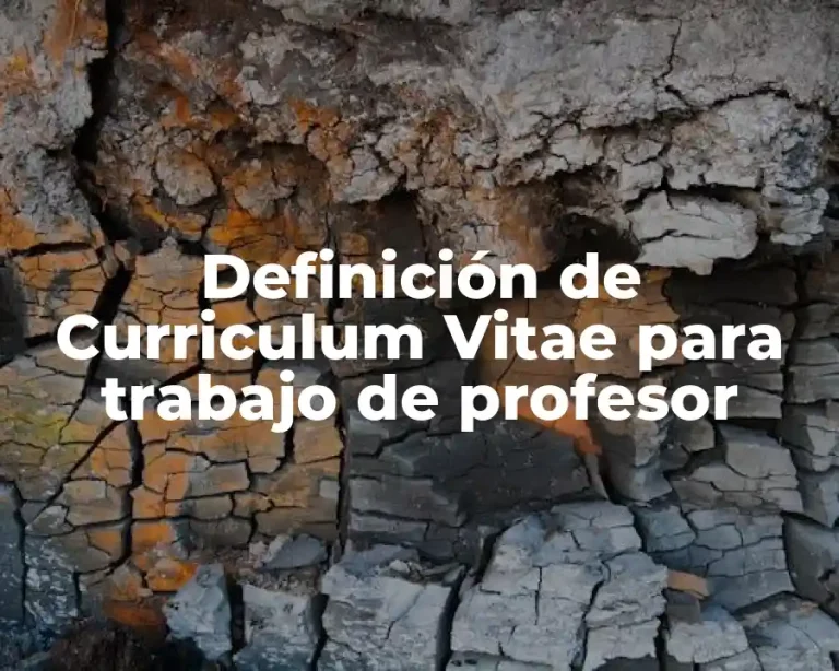 Definición de Curriculum Vitae para trabajo de profesor