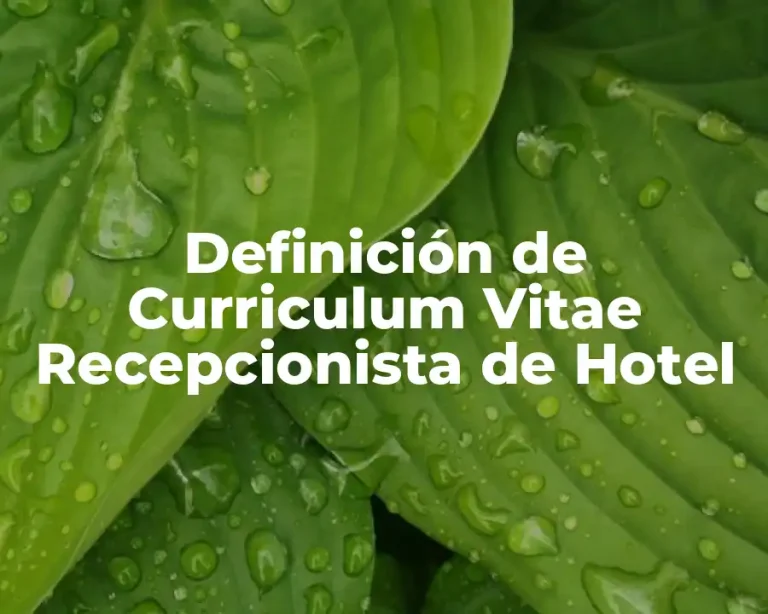 Definición de Curriculum Vitae Recepcionista de Hotel
