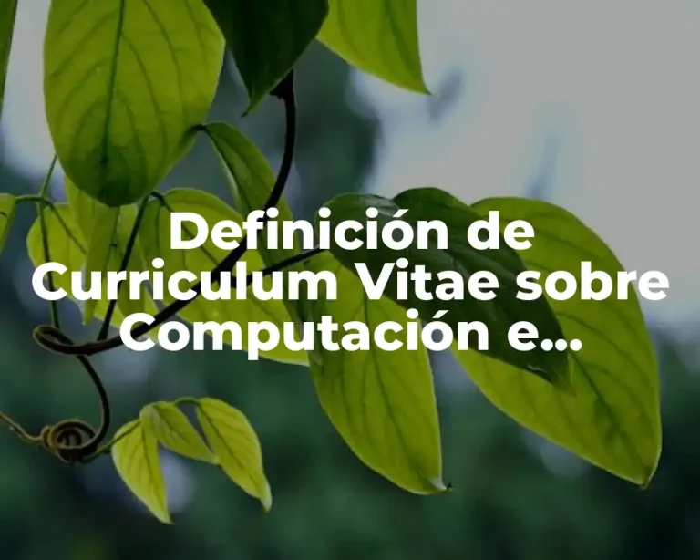 Definición de Curriculum Vitae sobre Computación e Informática