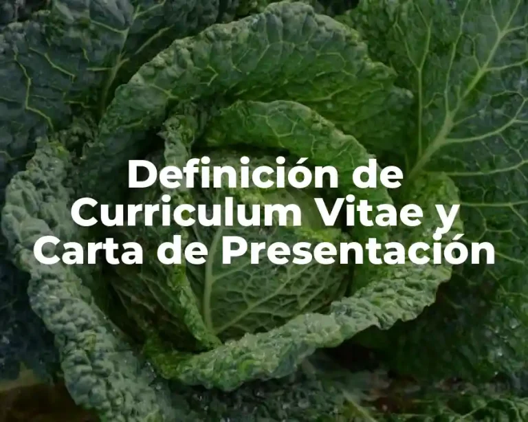 Definición de Curriculum Vitae y Carta de Presentación