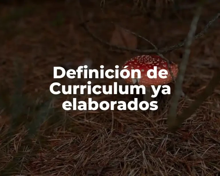 Definición de Curriculum ya elaborados