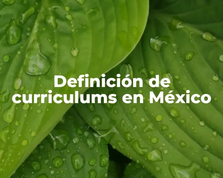 Definición de curriculums en México