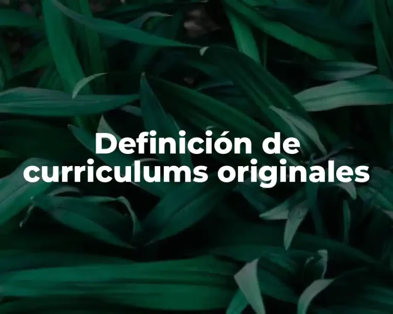 Definición de curriculums originales