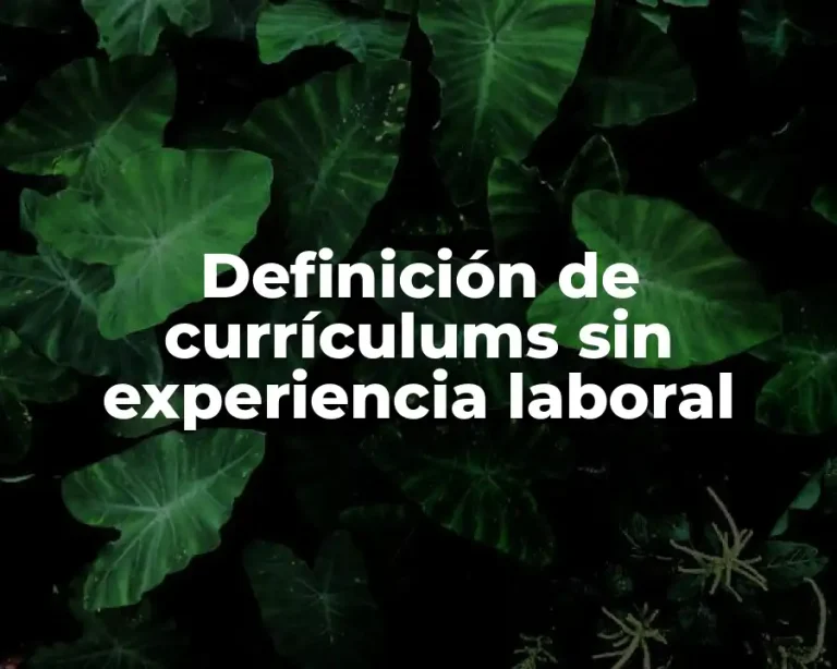 Definición de currículums sin experiencia laboral