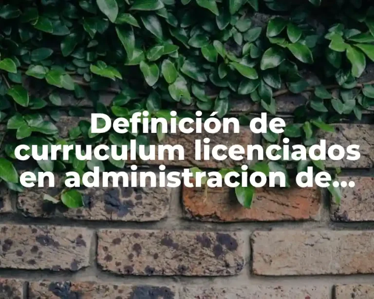 Definición de curruculum licenciados en administracion de empresas