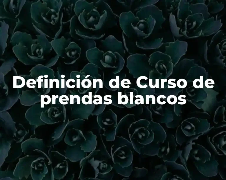 Definición de Curso de prendas blancos