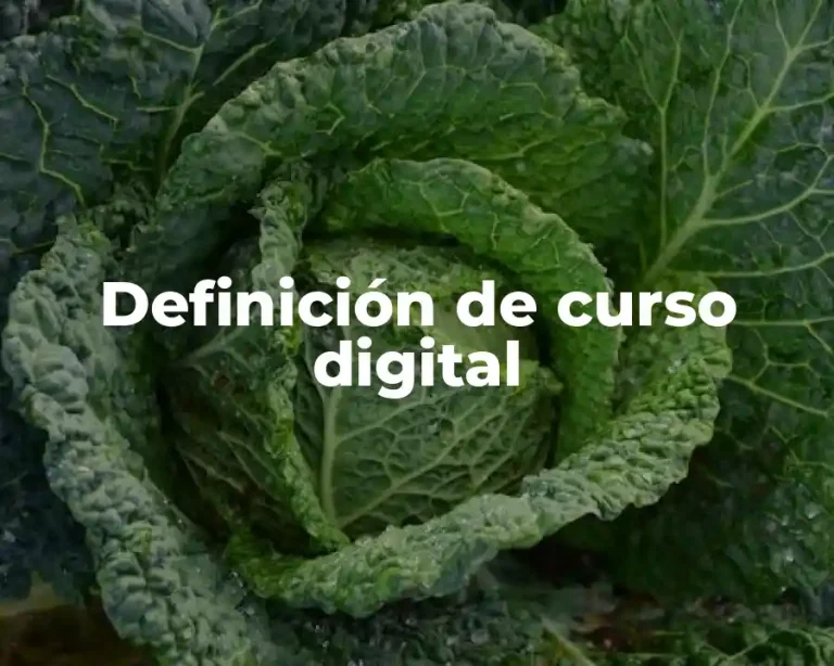 Definición de curso digital