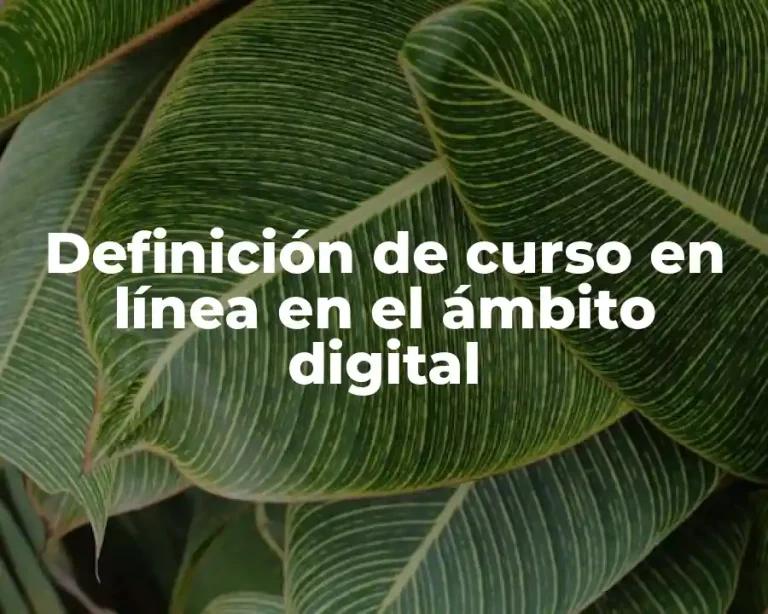 Definición de curso en línea en el ámbito digital