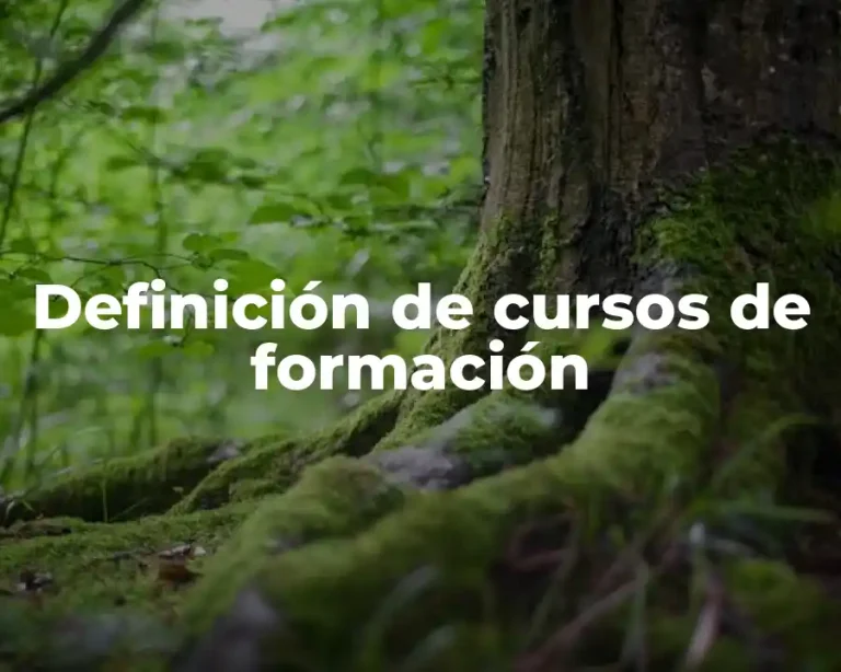 Definición de cursos de formación