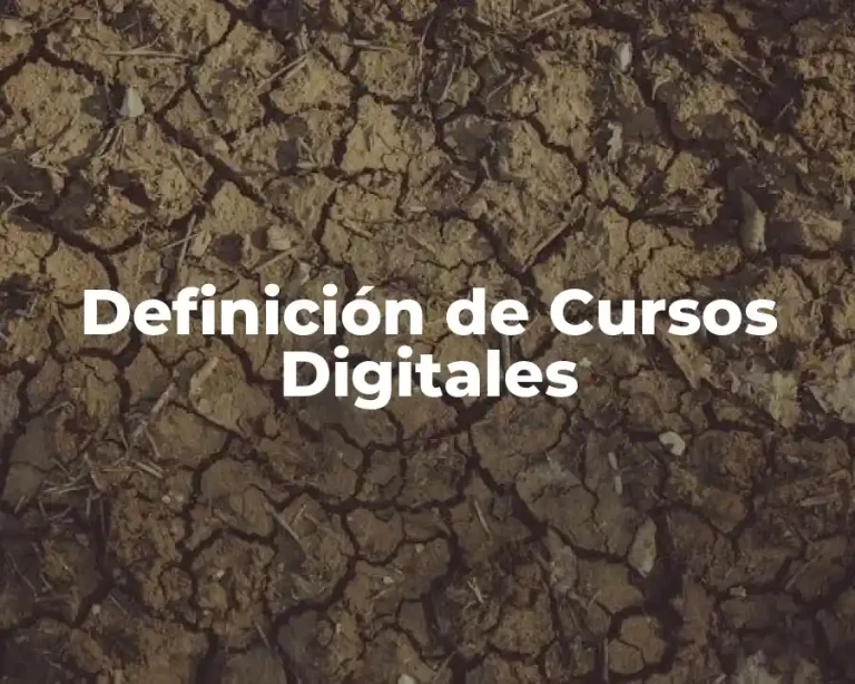 Definición de Cursos Digitales