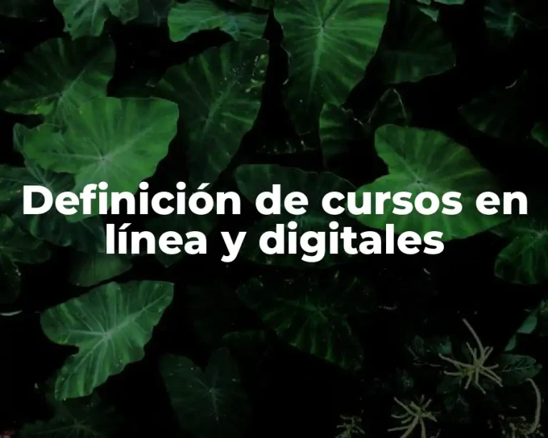 Definición de cursos en línea y digitales