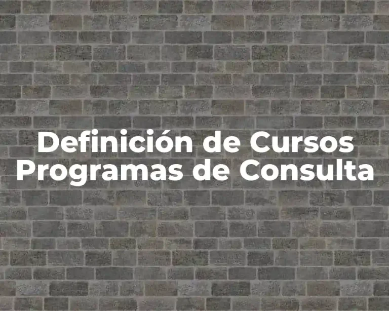 Definición de Cursos Programas de Consulta