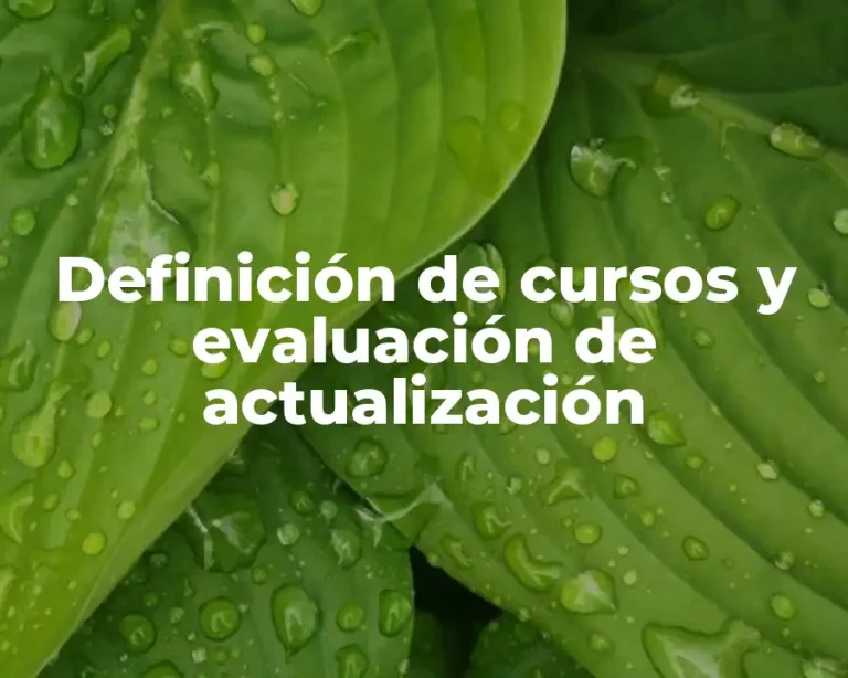 Definición de cursos y evaluación de actualización